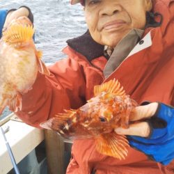 岡田釣船 八英丸 釣果