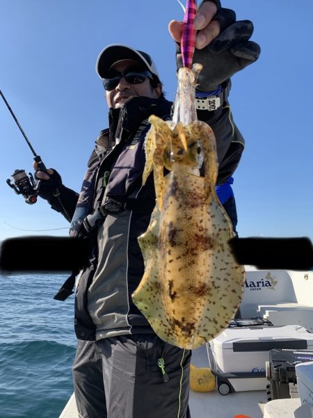 きずなまりん 釣果