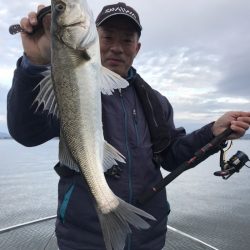 アマテラス 釣果