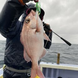 新幸丸 釣果