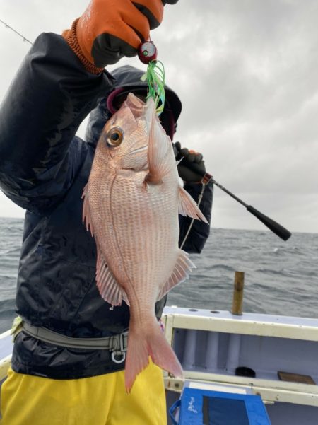 新幸丸 釣果