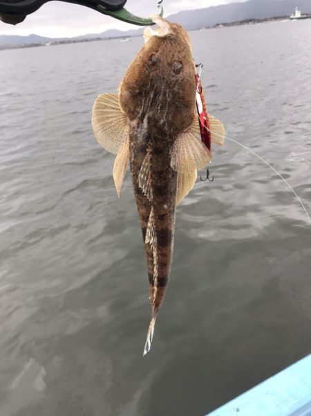 アマテラス 釣果