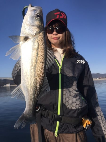 アマテラス 釣果