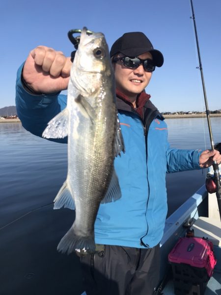 アマテラス 釣果