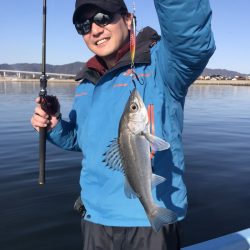 アマテラス 釣果