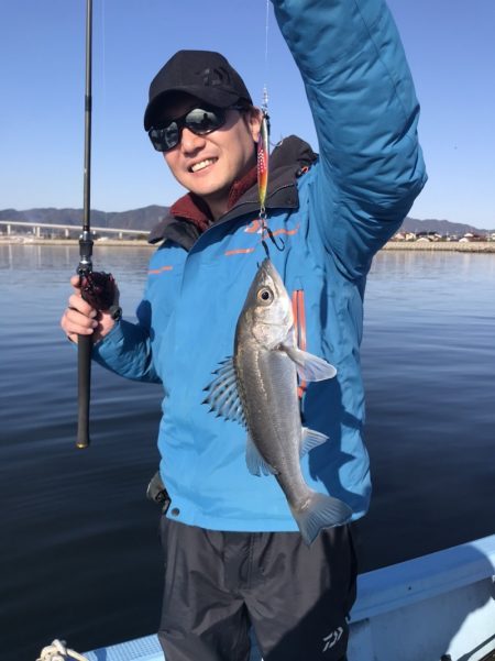 アマテラス 釣果