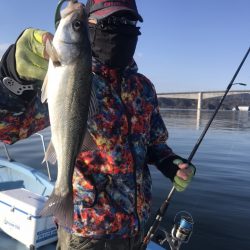 アマテラス 釣果