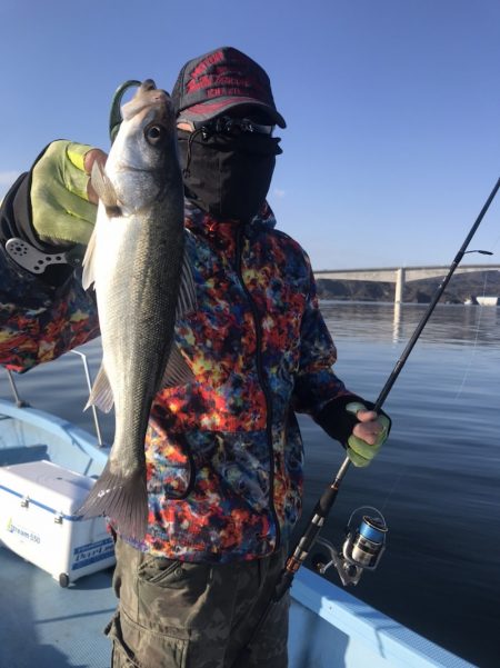 アマテラス 釣果