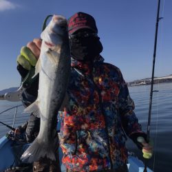 アマテラス 釣果