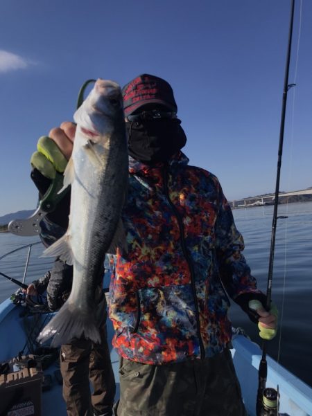 アマテラス 釣果