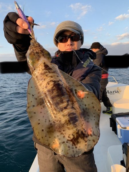 きずなまりん 釣果