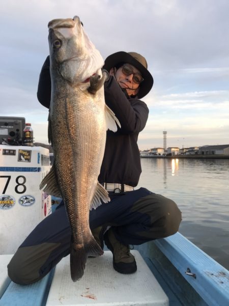 アマテラス 釣果