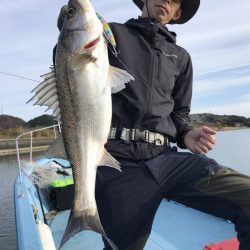 アマテラス 釣果