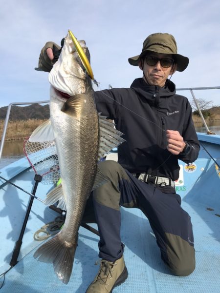 アマテラス 釣果