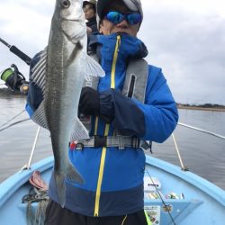 アマテラス 釣果