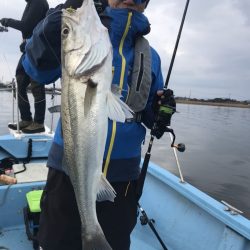 アマテラス 釣果