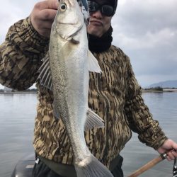 アマテラス 釣果