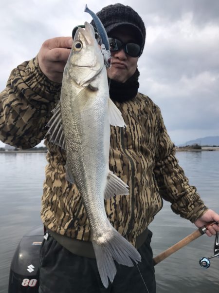 アマテラス 釣果