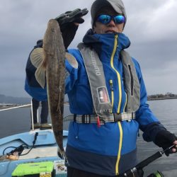 アマテラス 釣果