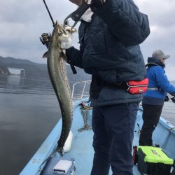 アマテラス 釣果