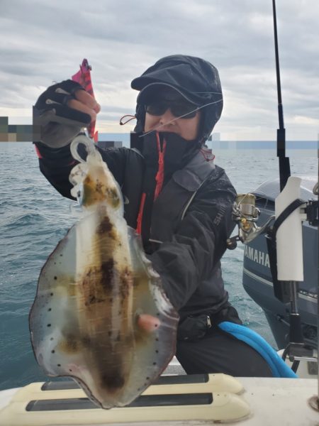 ソルトウォーターガイドフレンズ 釣果