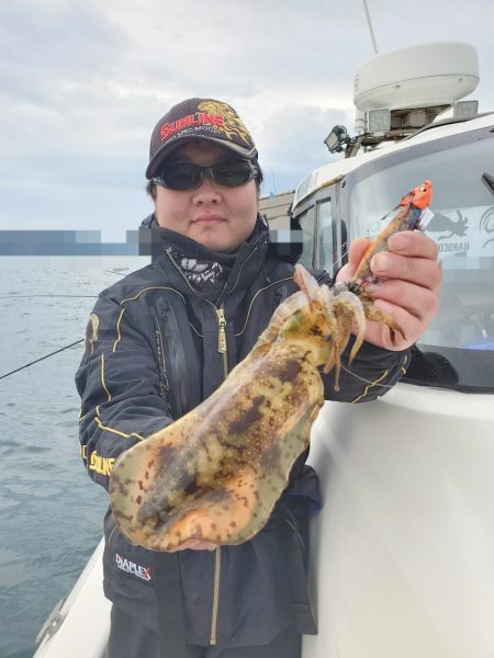 ソルトウォーターガイドフレンズ 釣果