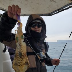 ソルトウォーターガイドフレンズ 釣果