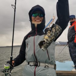 アマテラス 釣果