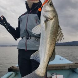 アマテラス 釣果