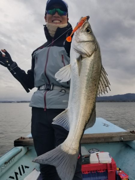 アマテラス 釣果