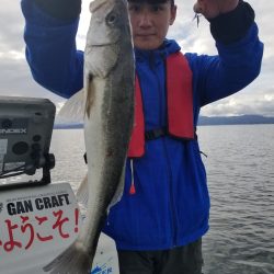 アマテラス 釣果