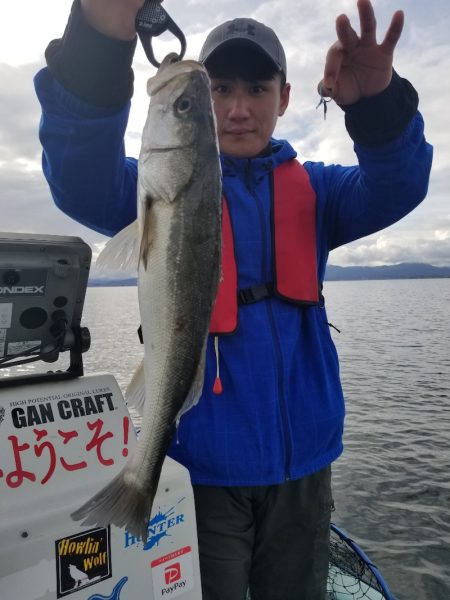 アマテラス 釣果