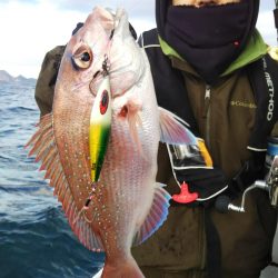 光生丸 釣果
