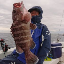 エンペラー 釣果