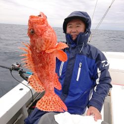 エンペラー 釣果