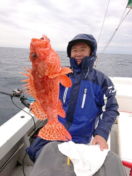 エンペラー 釣果