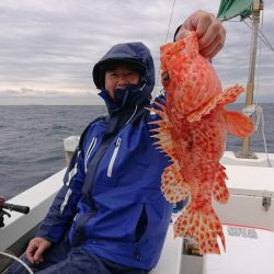 エンペラー 釣果