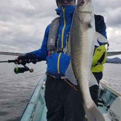 アマテラス 釣果