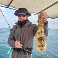 ソルトウォーターガイドフレンズ 釣果