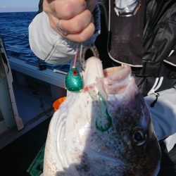 鷹王丸 釣果