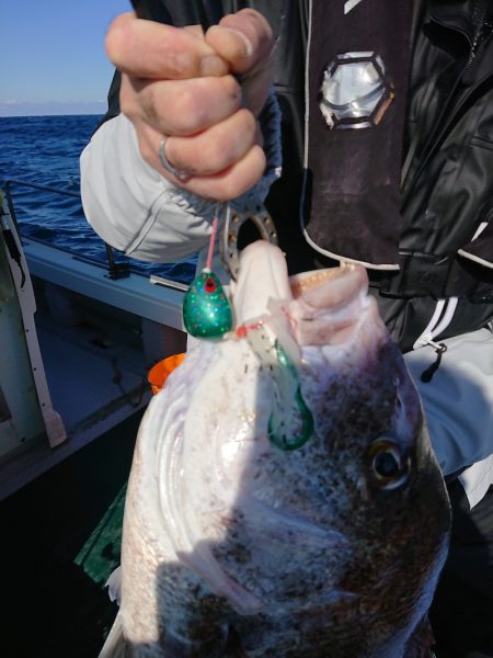 鷹王丸 釣果