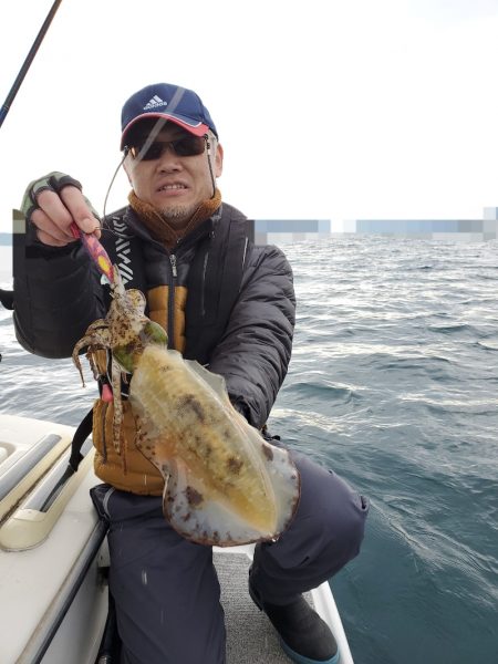 ソルトウォーターガイドフレンズ 釣果