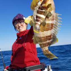 アマテラス 釣果