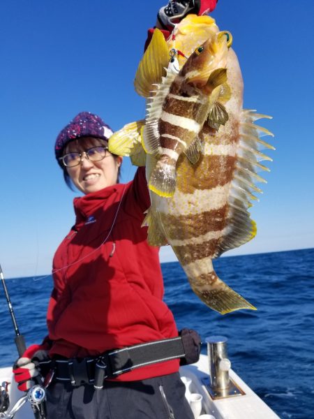 アマテラス 釣果