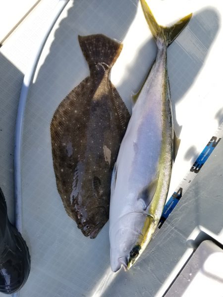 アマテラス 釣果