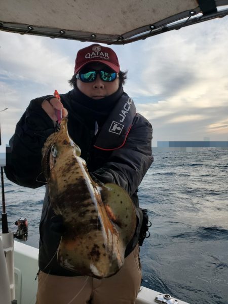 ソルトウォーターガイドフレンズ 釣果