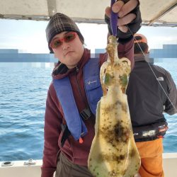 ソルトウォーターガイドフレンズ 釣果