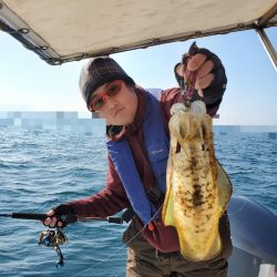 ソルトウォーターガイドフレンズ 釣果