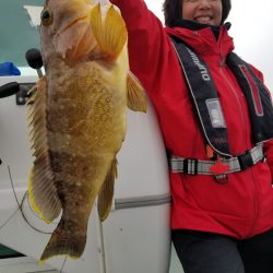 アマテラス 釣果