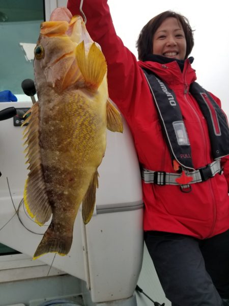 アマテラス 釣果